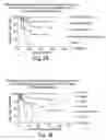 Fig. 19 - Prognostic and diagnostic method for disease therapy