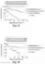 Fig. 24 - Prognostic and diagnostic method for disease therapy