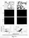 Fig. 61 - Prognostic and diagnostic method for disease therapy