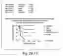 Fig. 87 - Prognostic and diagnostic method for disease therapy