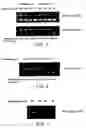 Fig. 02 - Methods and kits for detecting an enzyme capable of modifying a nucleic acid