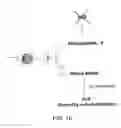 Fig. 09 - Methods and kits for detecting an enzyme capable of modifying a nucleic acid