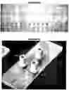 Fig. 29 - Devices and processes for analysing individual cells