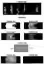 Fig. 32 - Devices and processes for analysing individual cells
