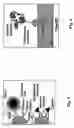 Fig. 03 - IN VITRO ASSAY FOR IDENTIFICATION OF ALLERGENIC PROTEINS
