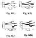 Fig. 10 - Methods of screening for LTRPC7 modulators