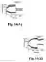Fig. 12 - Methods of screening for LTRPC7 modulators
