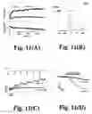 Fig. 13 - Methods of screening for LTRPC7 modulators