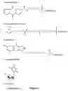 Fig. 07 - Selex and photoSELEX