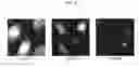 Fig. 09 - Method and composition for cancer diagnosis and treatment