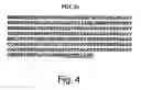 Fig. 05 - Novel PGC-1 Isoforms and Uses Therefor