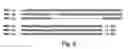 Fig. 08 - Novel PGC-1 Isoforms and Uses Therefor