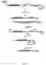 Fig. 07 - Transgenomic mitochondria, transmitochondrial cells and organisms, and methods of making and using