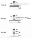 Fig. 12 - METHOD OF FABRICATING SEMICONDUCTOR DEVICE