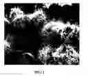 Fig. 02 - Production of carbon nanotubes