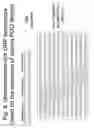 Fig. 07 - Genetic package and uses thereof