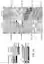 Fig. 02 - Mitochondria-targeted anti-tumor agents