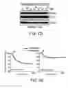 Fig. 10 - Mitochondria-targeted anti-tumor agents