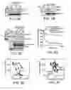 Fig. 15 - Mitochondria-targeted anti-tumor agents
