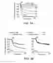 Fig. 17 - Mitochondria-targeted anti-tumor agents