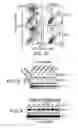 Fig. 19 - Mitochondria-targeted anti-tumor agents
