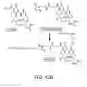 Fig. 22 - Mitochondria-targeted anti-tumor agents