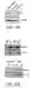 Fig. 24 - Mitochondria-targeted anti-tumor agents