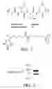 Fig. 02 - Enzyme inhibition