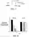 Fig. 06 - Enzyme inhibition