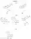 Fig. 09 - INHIBITION OF NF-KB