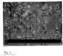 Fig. 03 - INJECTABLE DEPOT FORMULATION COMPRISING CRYSTALS OF ILOPERIDONE