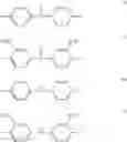 Fig. 12 - Synthesis and characterization of a novel proton exchange membrane (PEM) for applications in fuel cells
