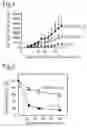 Fig. 02 - S-nitroso group-containing albumin, method for production, and anticancer agent