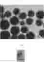 Fig. 02 - Process for Preparing Composite Particles, Composite Particles Obtained, and Their Use in a Diagnostic Test