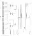 Fig. 02 - Nucleic acid encoding a novel ribonuclease having an amino acid sequence made up of a known amino acid sequence and an initial N-terminal residue