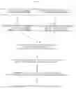 Fig. 08 - Nucleic acid encoding a novel ribonuclease having an amino acid sequence made up of a known amino acid sequence and an initial N-terminal residue