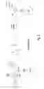 Fig. 03 - Synthesis of oligonucleotides or phosphorothioate oligonucleotide with a capping agent of N-methylimidazole free of 1,3,5-trimethylhexahydro-1,3,5-triazine