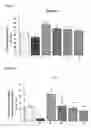 Fig. 02 - Agent for the prevention and treatment of prostatic hyperplasia comprising pyrazolopyrimidinone compound