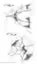 Fig. 04 - Closure device for left atrial appendage