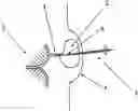 Fig. 01 - Spongy implant