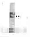 Fig. 07 - CONTEXTUAL PRODUCT PLACEMENT