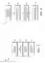 Fig. 04 - INGESTION AND DISTRIBUTION OF MULTIPLE CONTENT TYPES