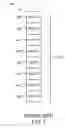 Fig. 02 - Providing and utilizing high performance block storage metadata
