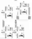 Fig. 09 - APPARATUS AND METHOD FOR DETECTING DUPLICATION OF PORTABLE SUBSCRIBER STATION IN PORTABLE INTERNET SYSTEM