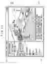 Fig. 43 - Service providing apparatus and method, and information processing apparatus and method