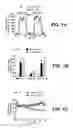 Fig. 02 - TRANSGENIC MICE EXPRESSING HYPERSENSITIVE NICOTINIC RECEPTORS