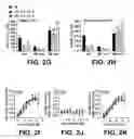 Fig. 06 - TRANSGENIC MICE EXPRESSING HYPERSENSITIVE NICOTINIC RECEPTORS