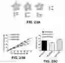 Fig. 28 - TRANSGENIC MICE EXPRESSING HYPERSENSITIVE NICOTINIC RECEPTORS