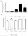 Fig. 02 - Muscle lamin A/C interacting protein, gene encoding same, and uses therefor