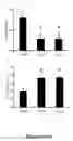 Fig. 04 - Muscle lamin A/C interacting protein, gene encoding same, and uses therefor